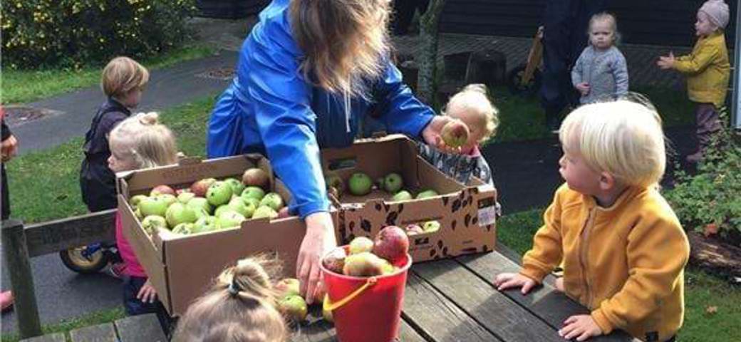 Frugttæer og -buske er en del af vores legeplads, så børnene lærer om, hvordan mad dyrkes