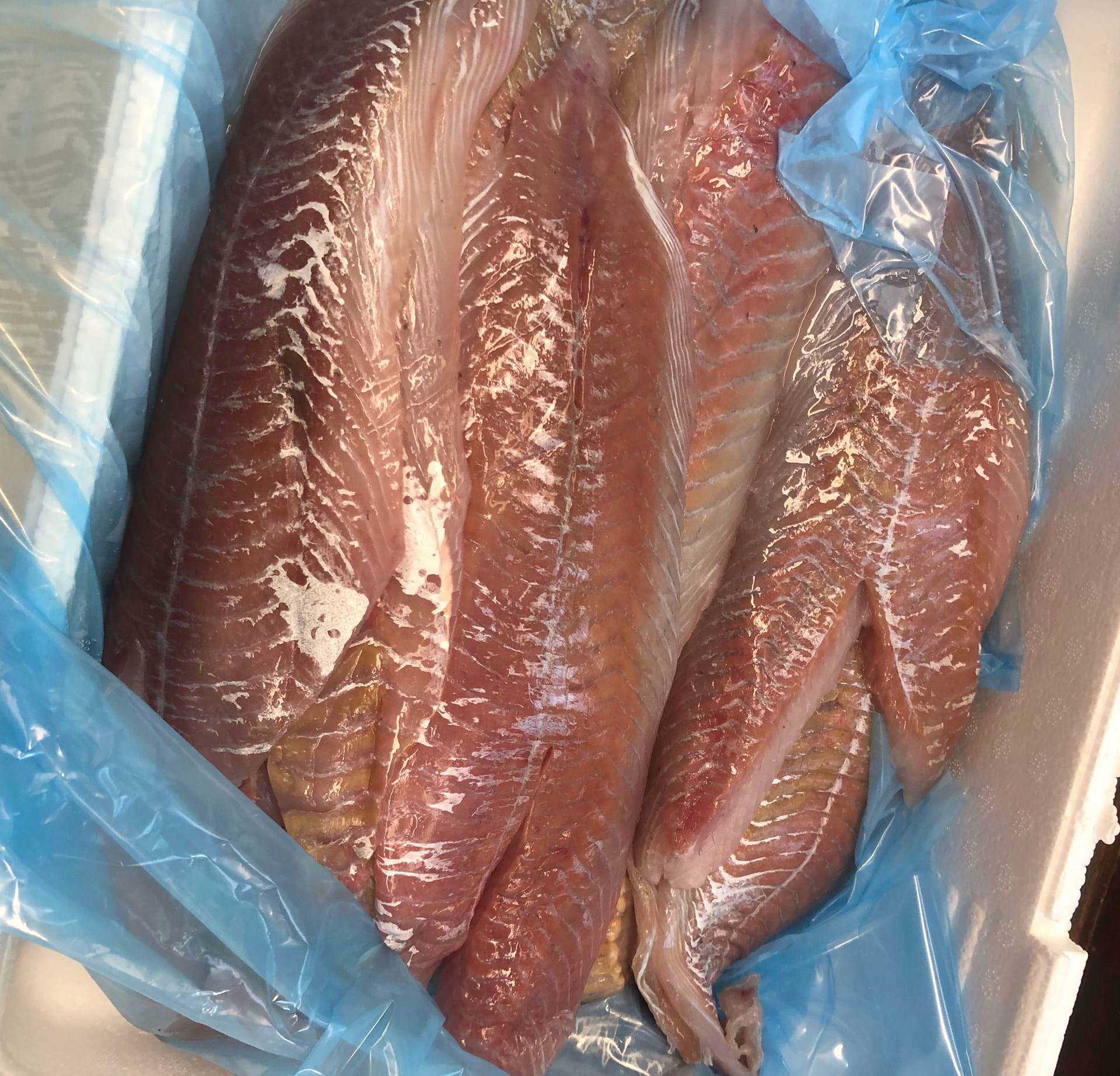 Mørksej - vi laver maden fra bunden og med gode råvarer