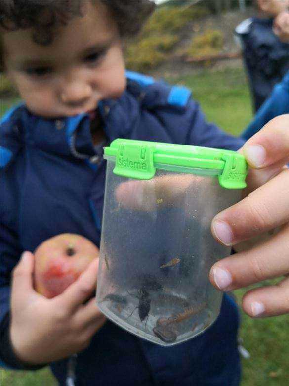 Naturen er spændende - her holder et barn glasset med alle de insekter, vi har fundet