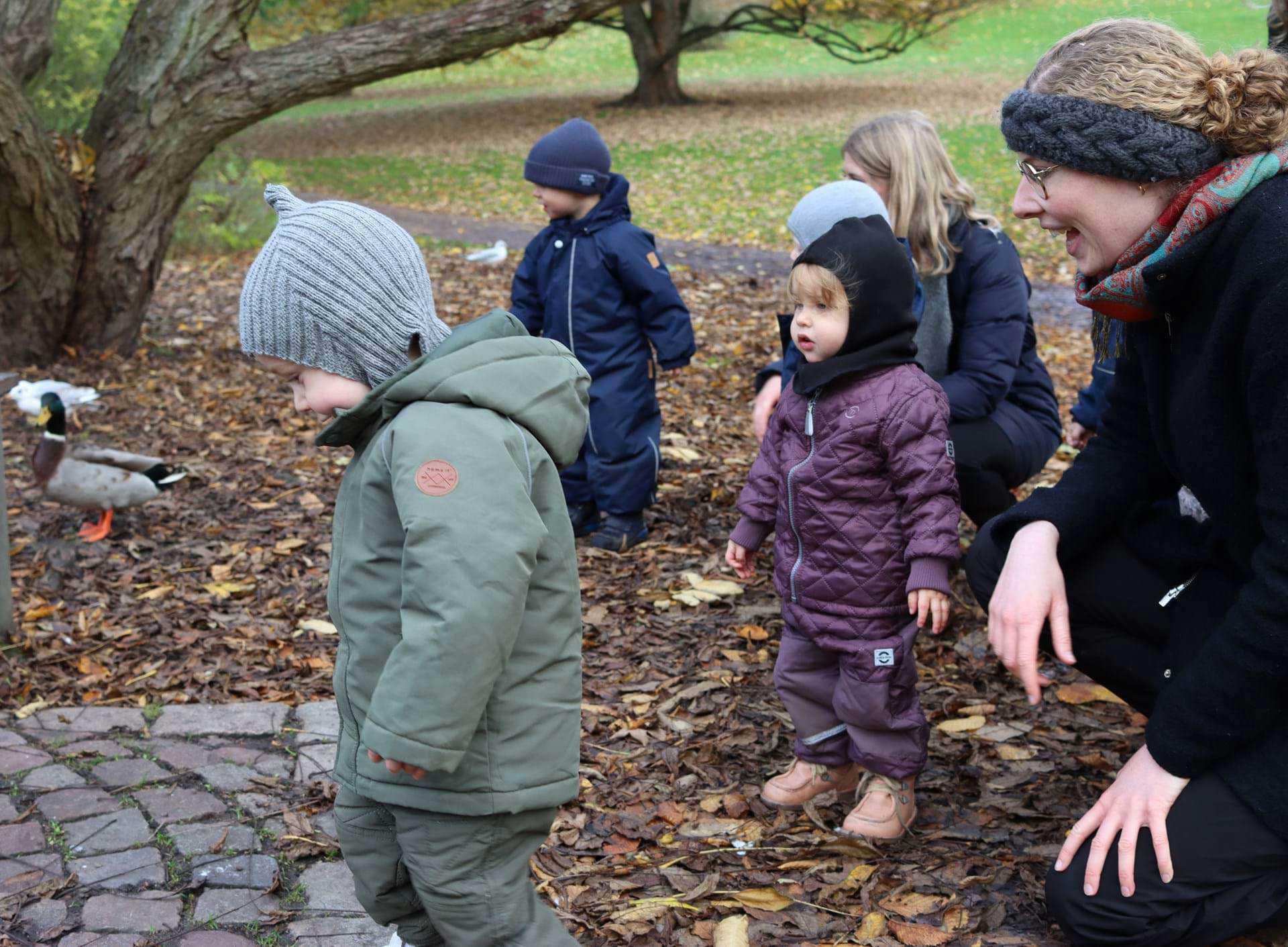 Vi bor ved siden af Botanisk Have, så vi går gerne hen for at se til ænderne