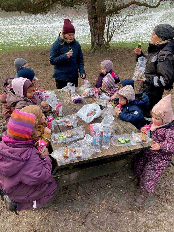 Vi hygger med at spise frokost ude i naturen